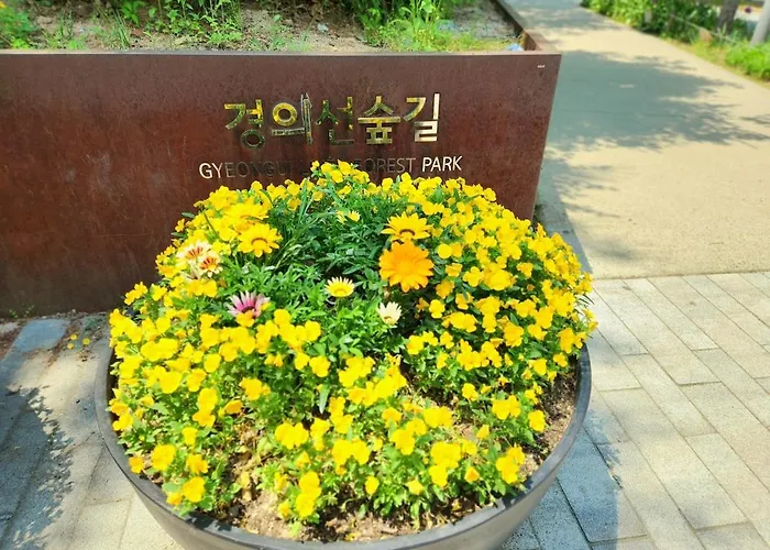 Byulbam - 5mins To Hyochang Park Station *